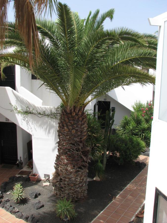 Apartament Casa Del Sol Pdc Puerto del Carmen  Zewnętrze zdjęcie